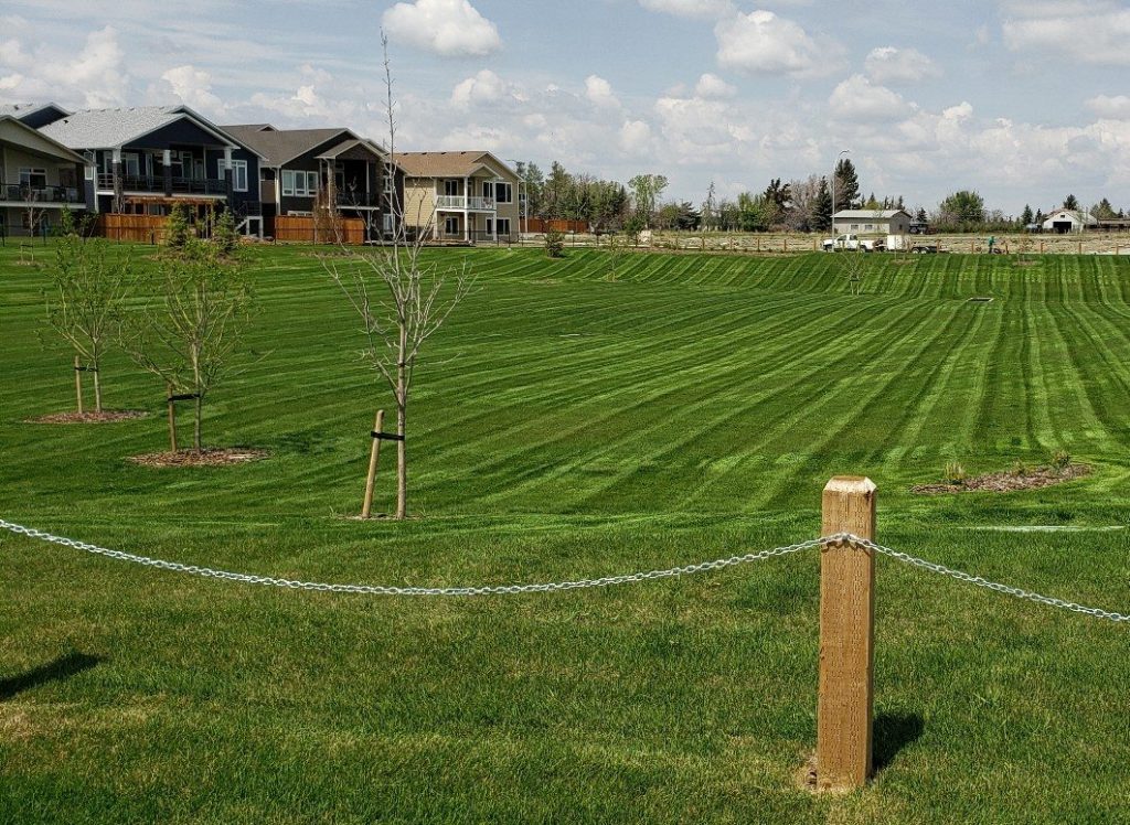 commercial lawn care, landscaping companies, yard maintenance